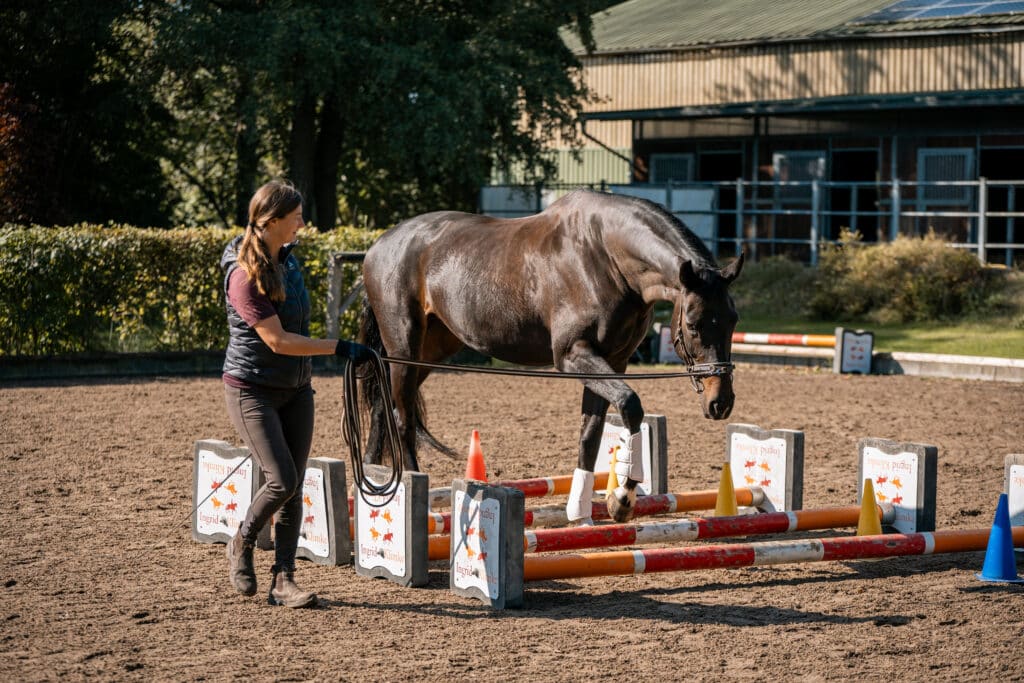 Frilora Cavaletti Schritt