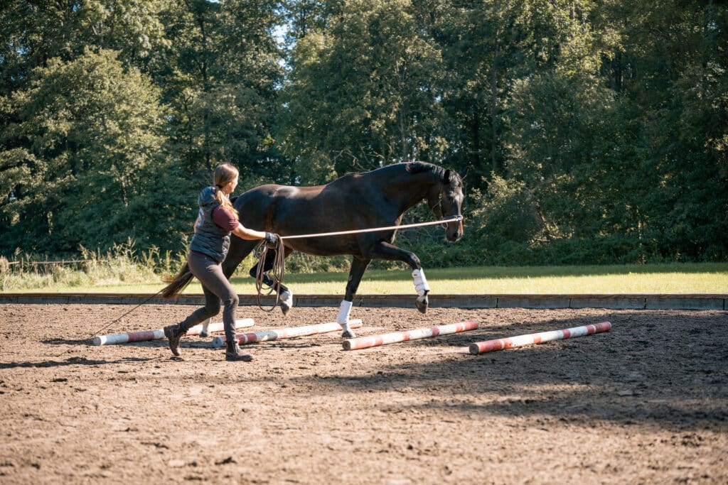 Frilora Trab Cavaletti